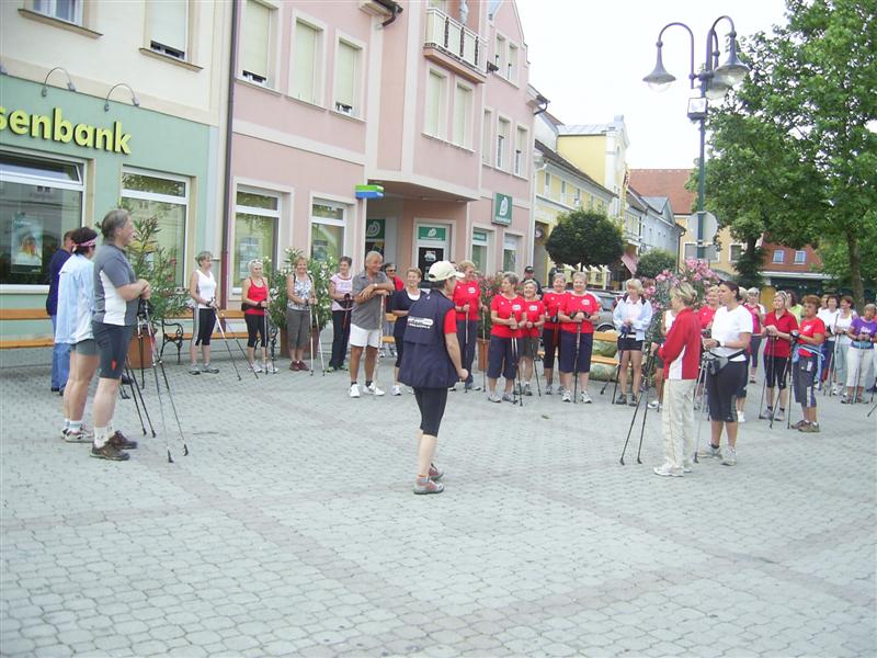 2008-07-13 10-jhriges Oldtimertreffen in Pinkafeld